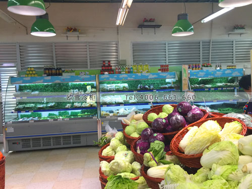 B495廣東省深圳市龍崗區(qū)天虹商場(chǎng)蔬菜保鮮展示柜