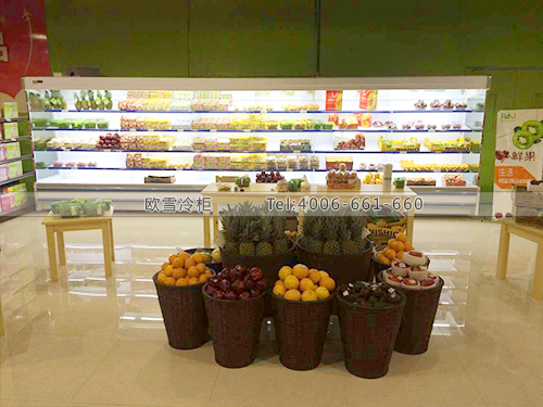 B496天津武清山姆安全食品超市冷柜