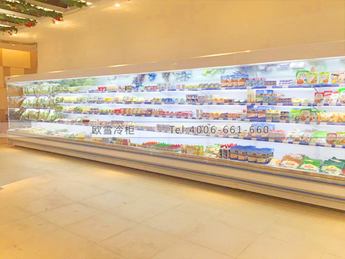 B527浙江寧波億彩購物中心冷柜冰柜