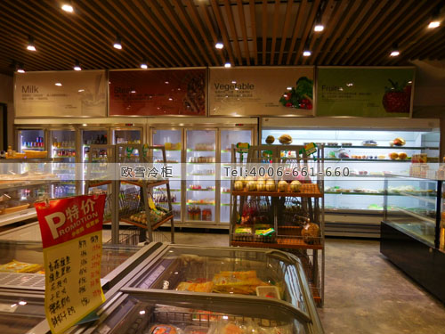 B566福建省廈門市集美區(qū)天樂(lè)仕超市冷柜
