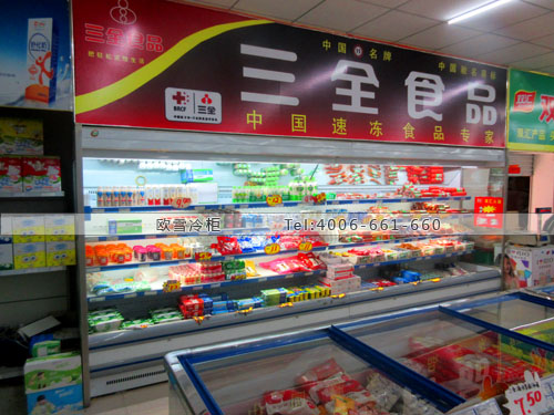 B587河北省廊坊市永清縣華聯(lián)超市冰柜