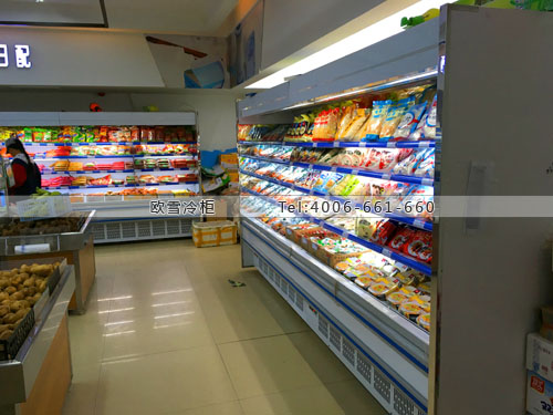 B568西藏日客則市旺家福超市冷柜