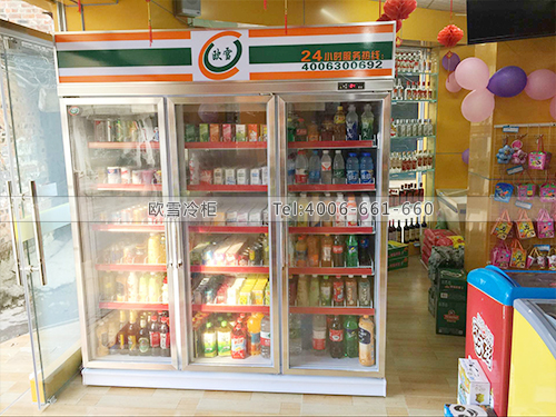 B543廣西南寧財鴻超市三門飲料冷柜