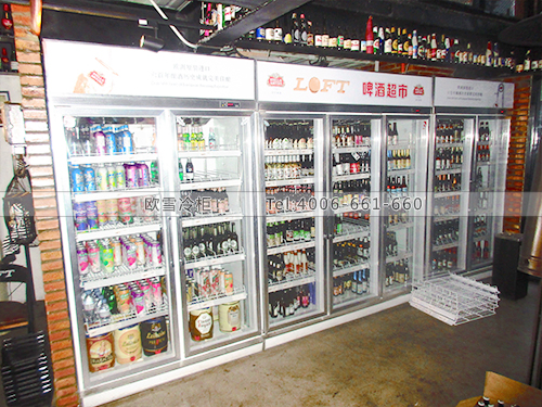 B554北京豐臺loft勞夫特啤酒超市冷柜冰柜