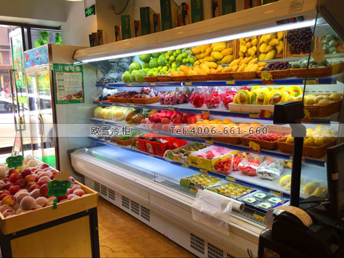B566重慶市南岸區(qū)優(yōu)滋良果水果保鮮柜