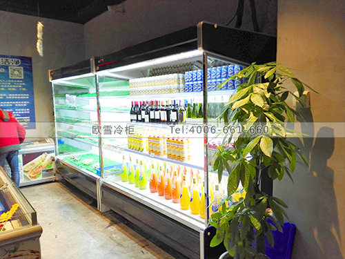 B528重慶大坪龍湖TAKE海鮮餐廳冷柜