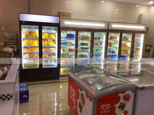 B732湖北省武漢市洪山區(qū)創(chuàng)大優(yōu)鮮超市冷柜