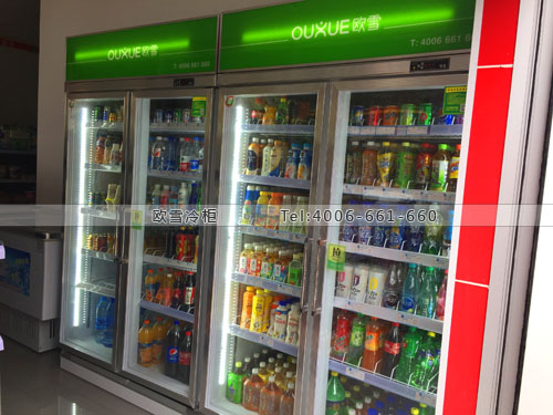 B735湖南省長(zhǎng)沙市蔚然錦和連鎖超市冷柜