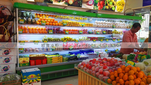 B724福建省福州市古田縣農(nóng)甸園水果店水果冷藏柜
