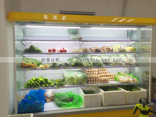 B594浙江省杭州市江干區(qū)高山農(nóng)場蔬菜保鮮柜