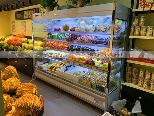 B705湖北省武漢市江夏區(qū)聆鄰社果園保鮮柜