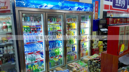 B728四川省遂寧市船山區(qū)鄰家19超市冷藏展示柜