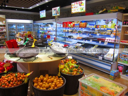 B696江蘇省無(wú)錫市錫山區(qū)味好德休閑食品冷藏展示柜