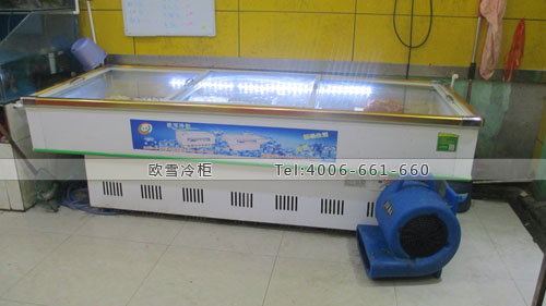 B738廣西省南寧市青秀區(qū)黃先生的店臥式冷凍柜
