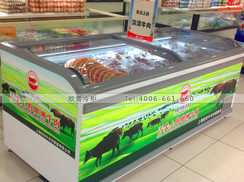 B737上海市徐匯區(qū)匯金百貨低溫冷凍展示柜