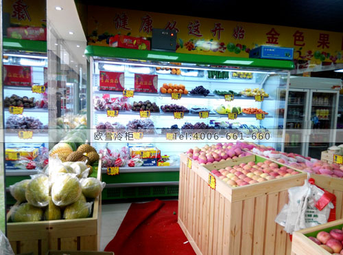 B604湖南省長沙市長沙縣金色果園保鮮柜