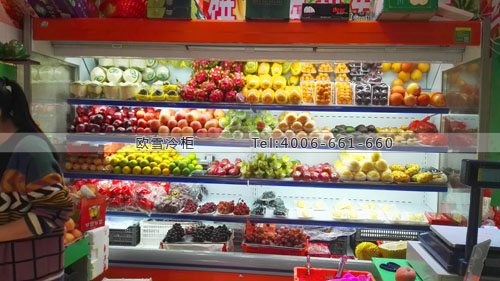 B699福建省廈門市同安區(qū)勝輝果業(yè)水果連鎖冷柜