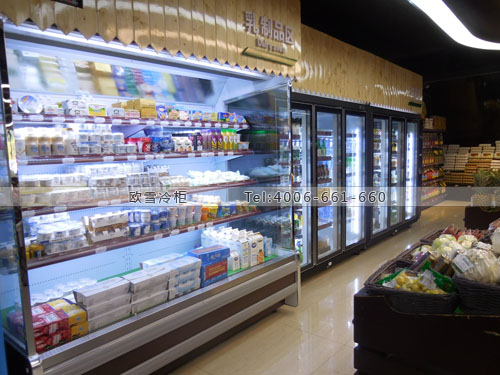 B700福建省廈門市湖里區(qū)OYS優(yōu)質(zhì)生活館超市冷柜