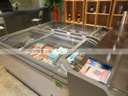 B840重慶市渝北區(qū)左村三文魚(yú)海鮮超市冷柜