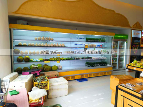 B858廣西省桂林市東盟.泰國平行進(jìn)口超市冷柜