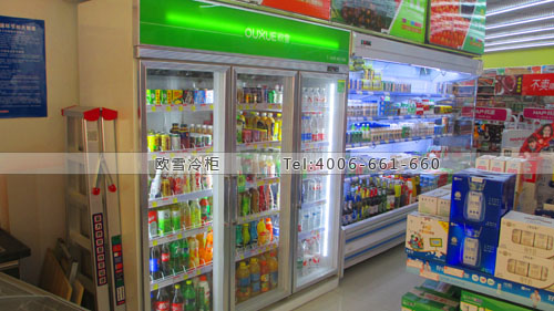 B817廣西省賀州市惠家便捷超市飲料冷藏柜