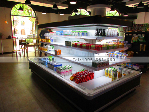 B838浙江省湖州市長(zhǎng)興縣西木便利店超市冷柜