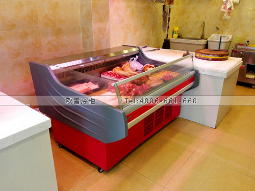 B806四川省成都市青羊區(qū)林記肉鋪保鮮柜