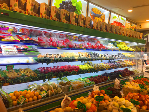 B887重慶市九龍坡區(qū)顏加法超級水果保鮮柜