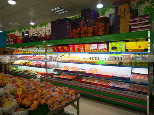B867江蘇省常熟市虞山鎮(zhèn)胖子精品水果保鮮柜