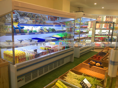 B819福建省晉江市今禾食材生鮮超市冷柜