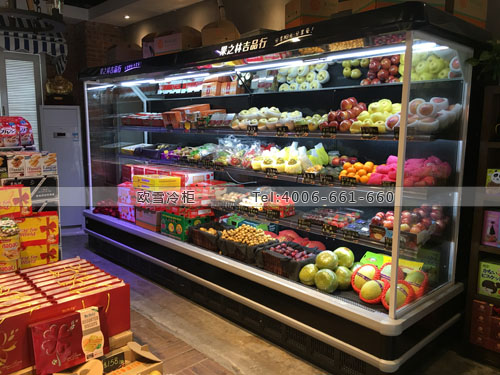 B823湖北省宜昌市果之林吉品行保鮮展示柜