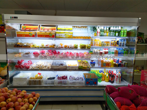 B757湖南省株洲市石峰區(qū)開心果園水果保鮮展示柜