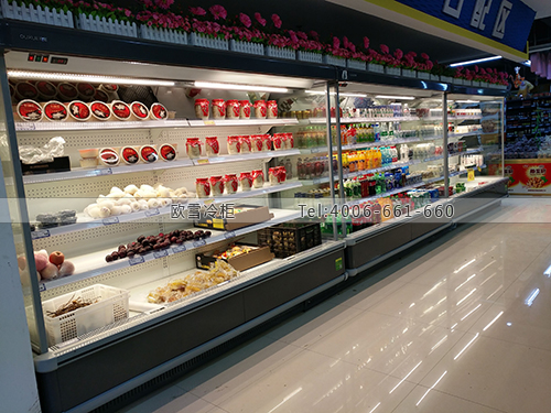 B897廣西省桂林市朔陽縣全家超市冷柜