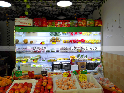 B807四川省成都市武侯區(qū)陽光鮮果果保鮮柜