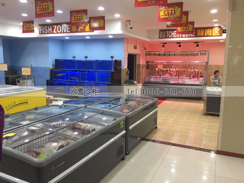 B886重慶市江津區(qū)世紀華聯(lián)超市冷柜