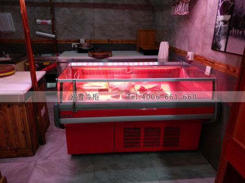 B907四川省成都市成華區(qū)琪金土豬肉冷藏展示柜