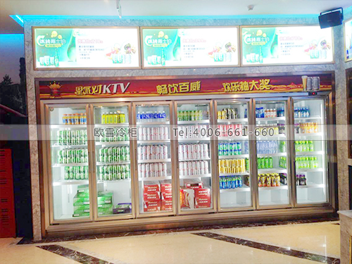 C046中山星派對KTV冰柜冷柜啤酒冷藏柜