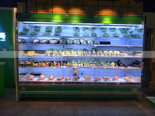 B920福建省廈門市思明區(qū)綠色1號(hào)超市冷柜