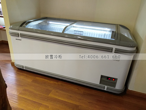 B935四川省成都市錦江區(qū)藏家珍寶冷凍柜