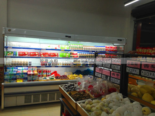 B965福建省寧德市古田縣1號超市冷柜