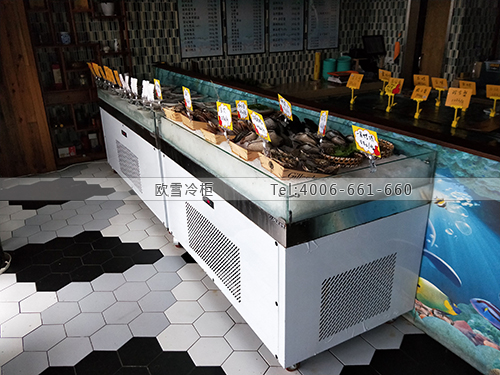 B958浙江省杭州市濱江區(qū)蒸海鮮冷凍展示柜