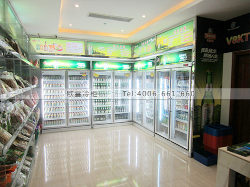 C030深圳寶安西鄉(xiāng)V8KTV雙門冷藏冷柜
