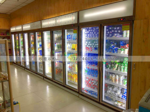 C061湖北省武漢市東湖開發(fā)區(qū)歡樂迪KTV展示冰柜