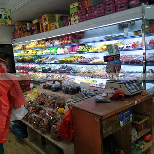 B942江蘇省蘇州市太倉市永鮮水果·進(jìn)口食品便利店超市冷柜