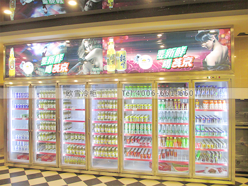C035東莞厚街星光大道KTV冰柜冷藏展示柜