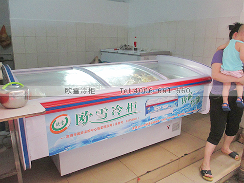 D016東莞東城渦嶺市場冰鮮雞冷柜