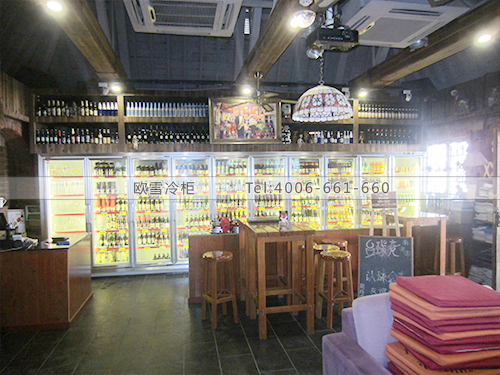 C037深圳南山世界之窗爵士花園酒吧冷柜冰柜