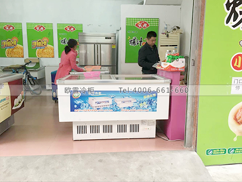 D020福建廈門集美佳鴻凍品批發(fā)海鮮臥式冷凍柜