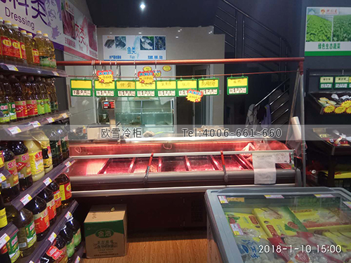 B939湖南省長沙市天心區(qū)田園香生鮮超市冷藏柜