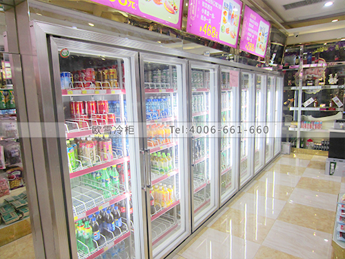 C029深圳寶安星辰時尚KTV啤酒飲料冷柜冰柜